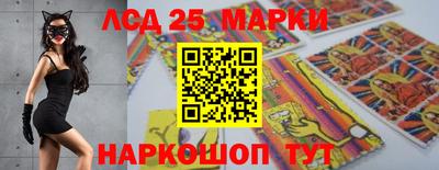 гидра Будённовск