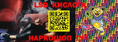 гидра Будённовск