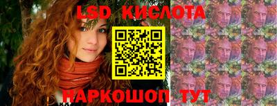 гидра Будённовск