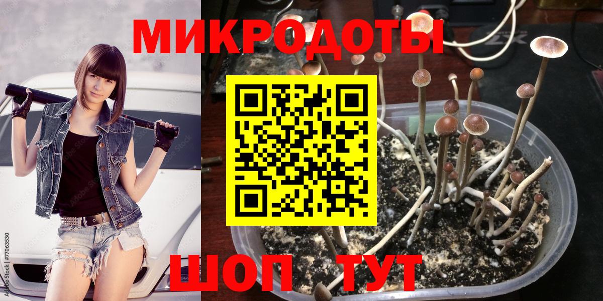 Псилоцибиновые грибы ЛСД Отрадное