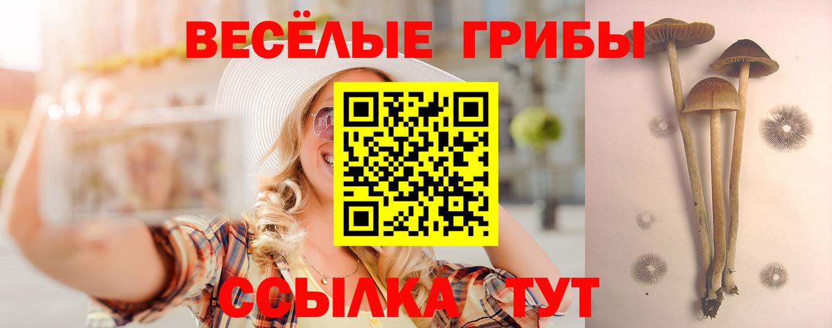 Отрадное  как найти наркотики  Галлюциногенные грибы MAGIC MUSHROOMS  Вход с VPN  Псилоцибиновые грибы прущие грибы 